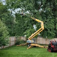 Best Arborist Consultation Services  in Kidron, OH